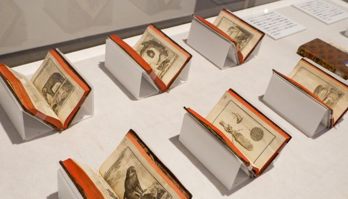 展覧会レポート】町田市立国際版画美術館『自然という書物―15～19世紀 